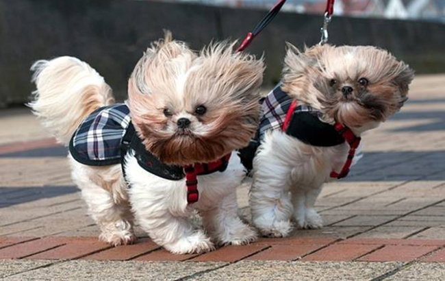 Град і шквали: синоптики попереджають про погіршення погоди