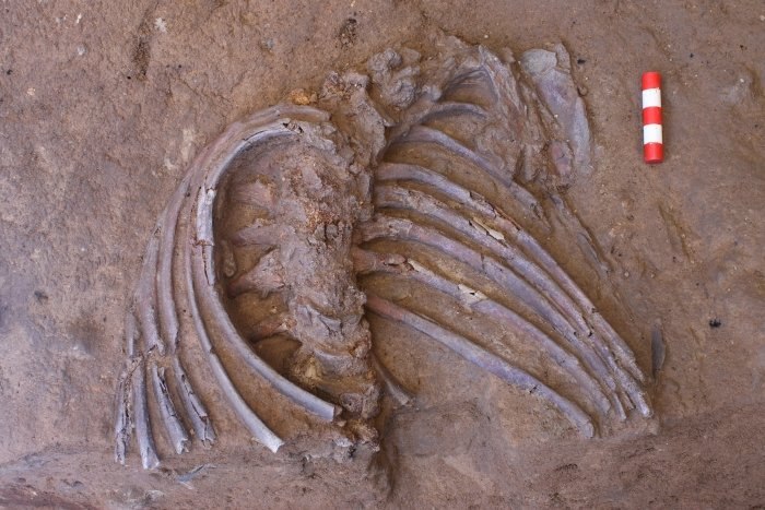 Археологи обнаружили уникальную находку: она может изменить историю (фото)