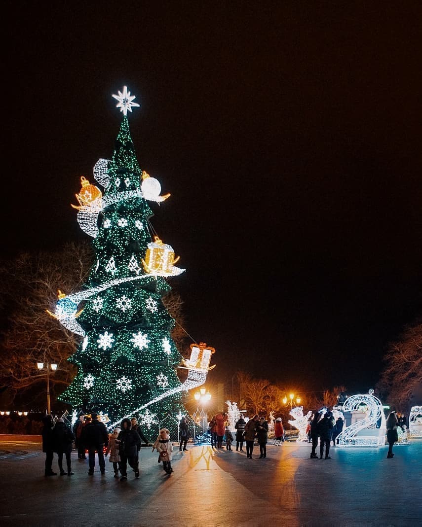 Ели в городе фото