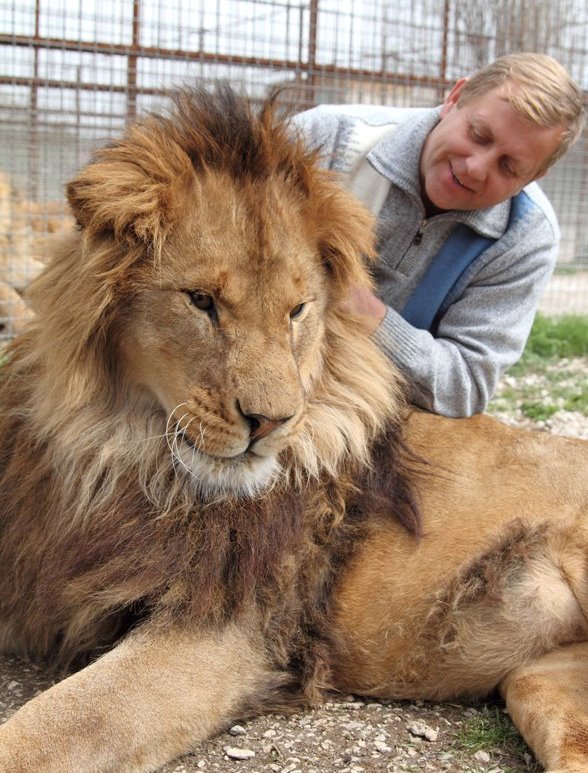 Олег Зубков со львом