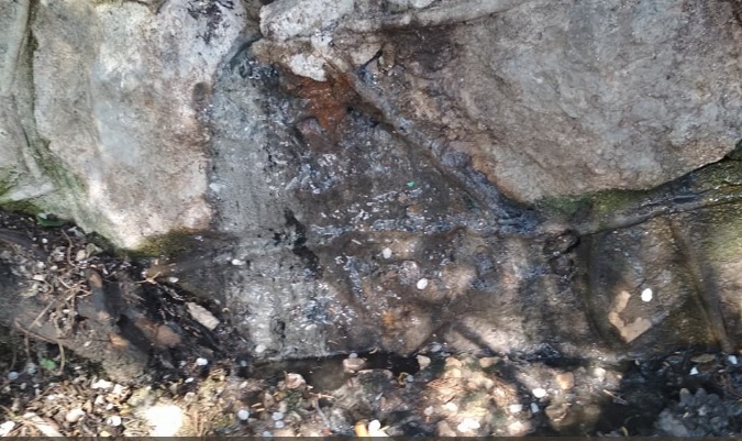 &quot;Производит &quot;русский дух&quot;: в сети рассказали о проблеме в оккупированной Алупке