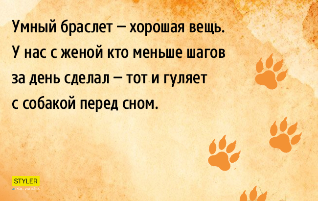 10 не выдуманных веселых жизненных историй, которые придутся тебе по вкусу