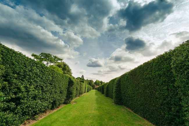 Будет жарко: синоптики уточнили прогноз на 20 июля