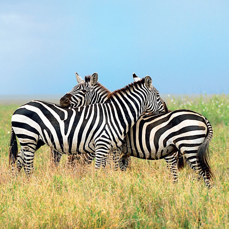 Пригода на вікенд: п'ять цікавих маршрутів вихідного дня по Україні