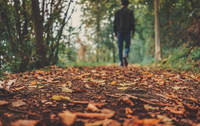 По-летнему жарко: синоптики прогнозируют на 3 ноября потепление до +21 градусов