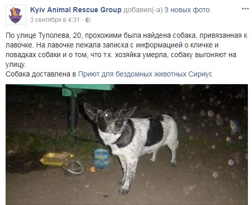 В Киеве нашли щенка с запиской от его имени