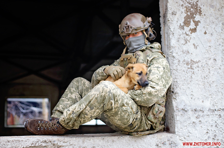 Українські воїни знялися з безпритульними тваринами, щоб допомогти знайти їм родину: милі фото