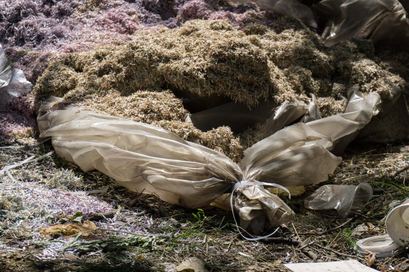 Під Дніпром у лісопосадці знайшли мішки з мільйонами гривень (фото)