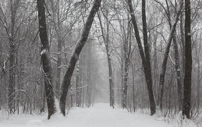 Температурный контраст: синоптики рассказали о погоде 11 января