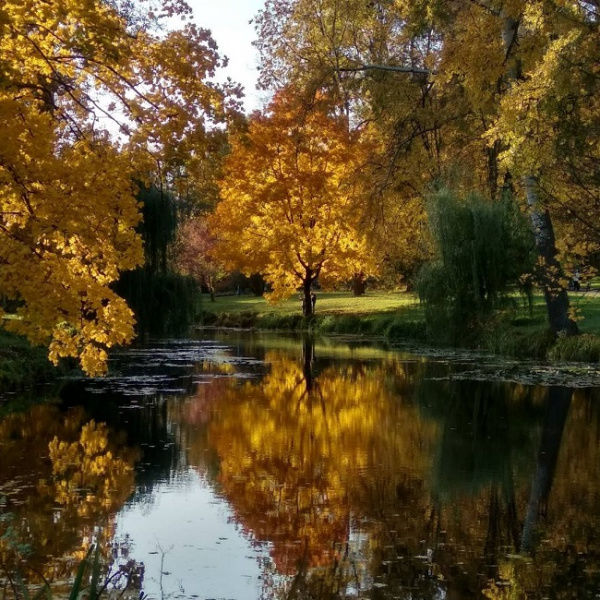 Де відпочити в Україні у листопаді: топ-5 ідей для осінньої подорожі