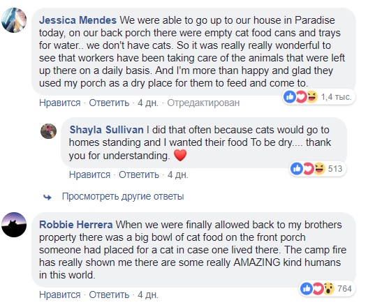 &quot;Никогда не сдавайтесь&quot;: пес месяц прождал хозяев у сгоревшего дома