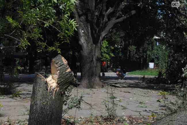 В Запорожье пилят парк в центре города ради постройки ТРЦ (фото, видео)