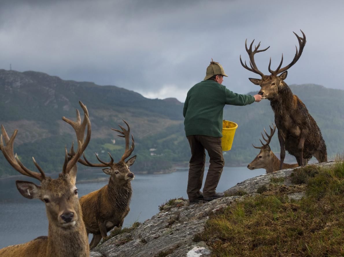 National Geographic выбрал лучшие фотографии 2017 года