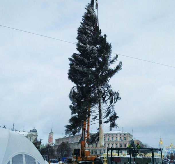 Уже с елкой: журналисты сняли процесс установки гигантского дерева в центре Киева
