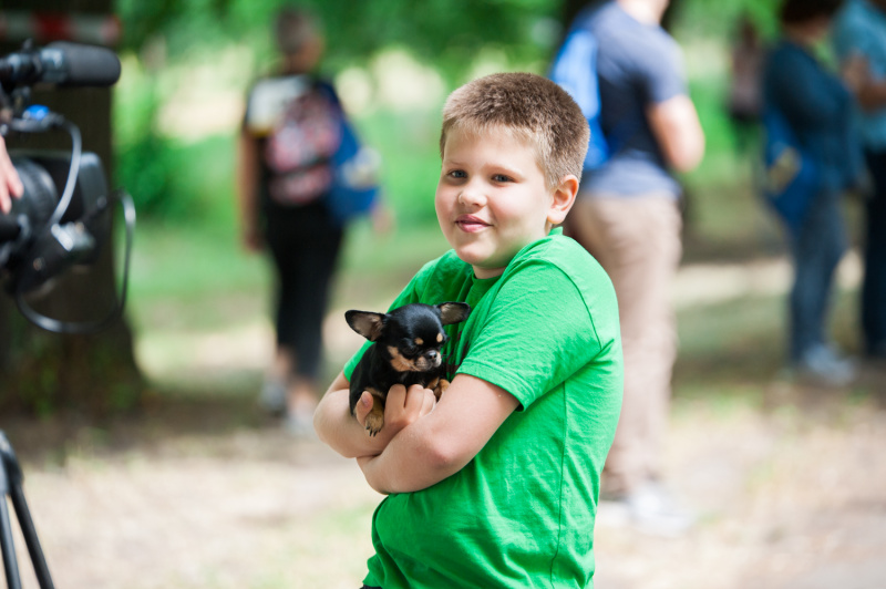 В Киеве установят рекорд самого массового забега с собаками