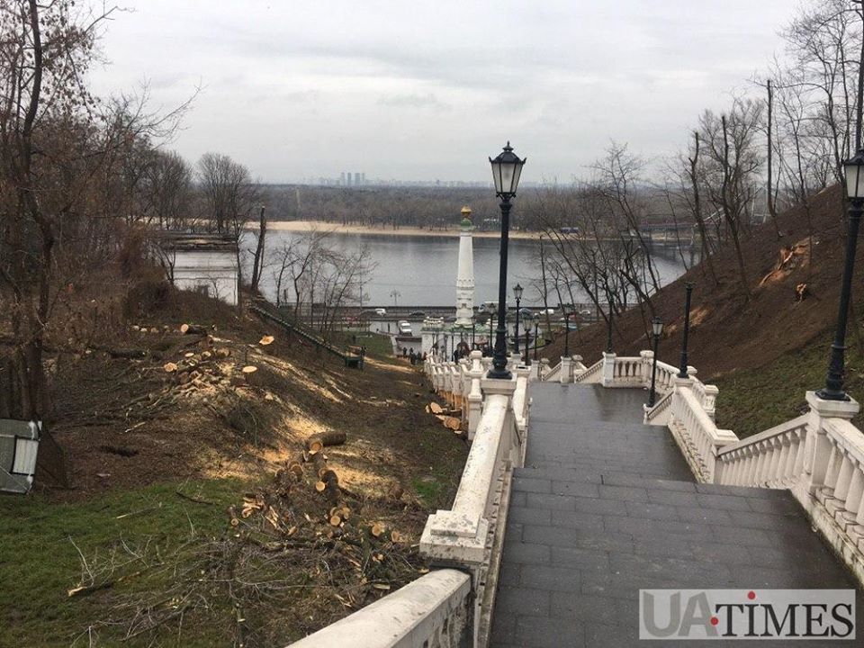 У центрі Києва нахабно рубають дерева: в зоні культурної спадщини (фото)