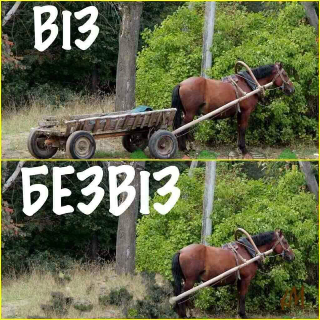 Евровидение, безвиз и Игры непокоренных: самые яркие события прошедшего 2017-го года