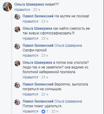 "Гади атакують!": У Києві зафіксували небезпечну рептилію