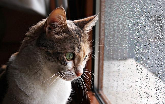 Синоптики рассказали украинцам, когда в ноябре ударят морозы