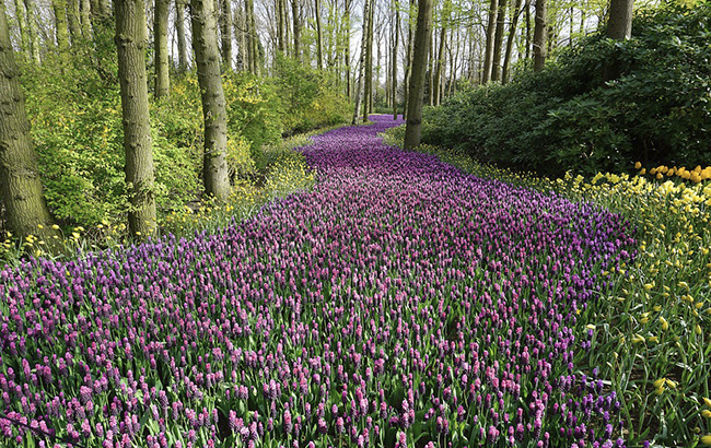 "Райское наслаждение": прогноз погоды на начало следующей недели