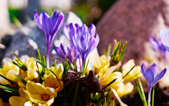 Потужний штормовий вітер: українцям розповіли, де чекати негоди