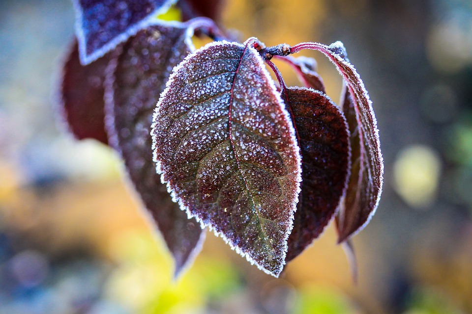 Синоптики уточнили прогноз погоды на вечер 10 ноября