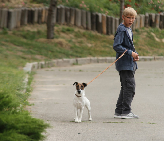 Четвероногие друзья украинских селебретис: топ-10 звездных песиков
