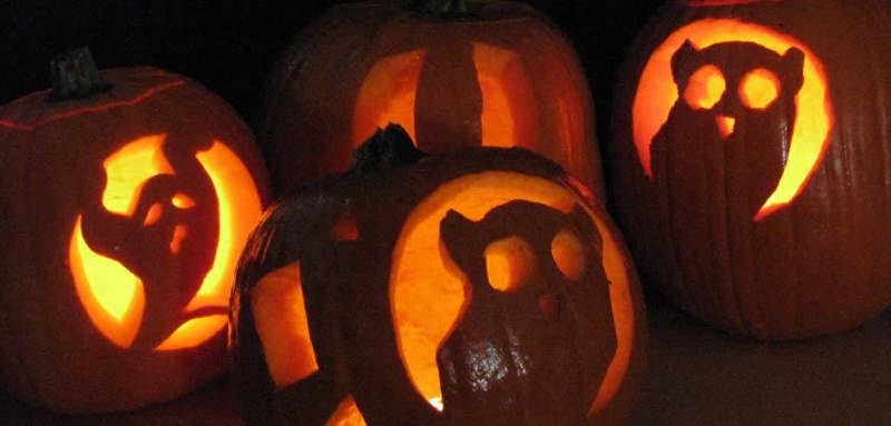 Тыква на Хэллоуин: вырезаем, рисуем, зажигаем. Лучшие идеи