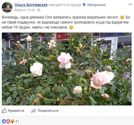 Весна посреди зимы: в Мелитополе зацвели сирень и ромашки