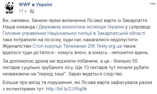 Масштаб суцільної вирубки дерев у Карпатах показали на відео
