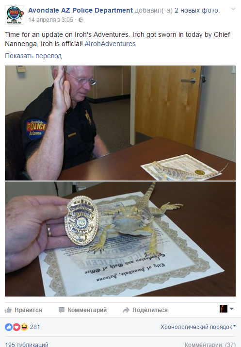 В США ящерица стала сотрудником полиции