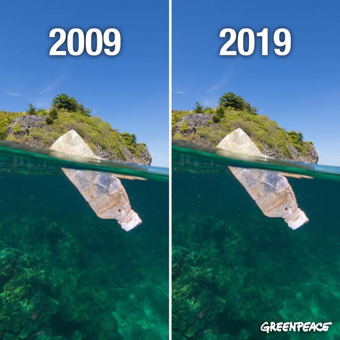 #10YearChallenge от экологов: в сети показали изменения на планете за 10 лет (фото)