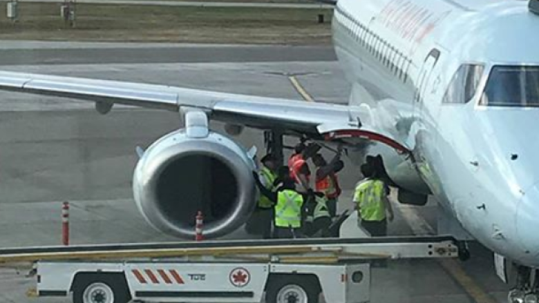 Пушистая проблема: енот задержал вылет самолета на шесть часов