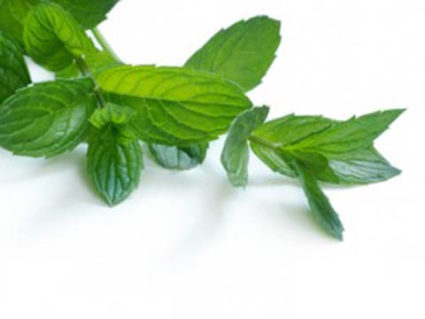 Влияние запахов: ученые назвали 6 ароматов, которые улучшат жизнь