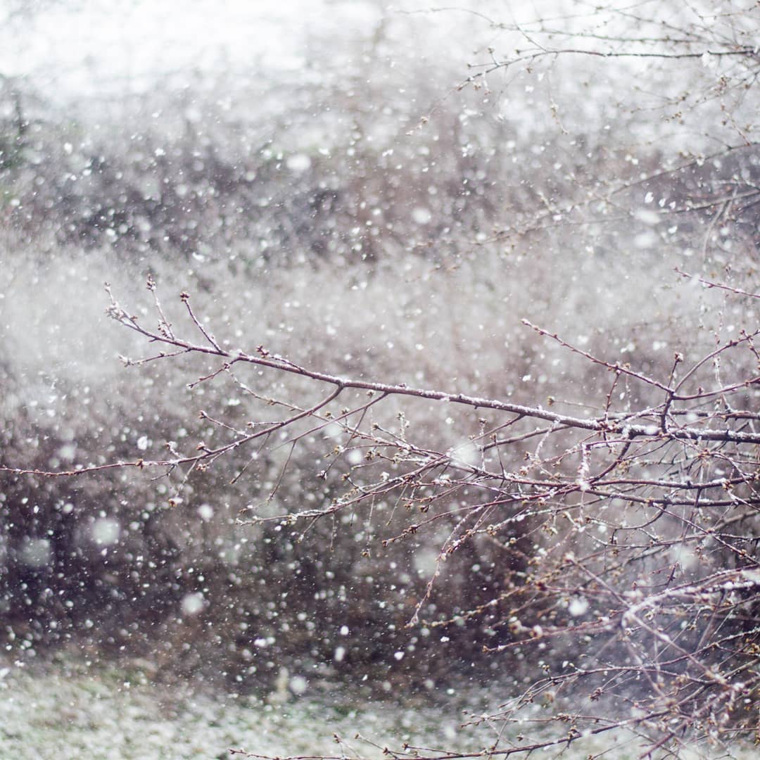 Весна, ти де? Україну наприкінці березня накрив сніг (фото та відео)