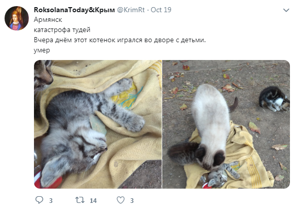 Похоже на постапокалиптический фильм: в сети показывают ужасающие последствия экологической катастрофы в Крыму (фото)