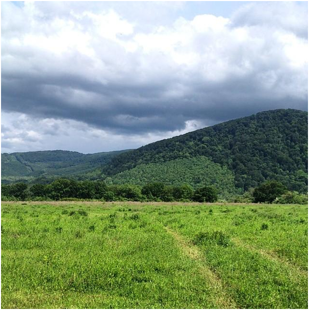 Александр Педан составил топ-5 лучших мест для летнего отдыха