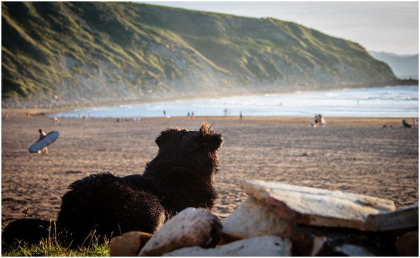 Александр Педан составил топ-5 лучших мест для летнего отдыха