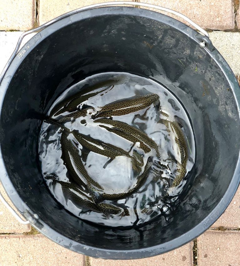 "Охота на дикую форель": стильный Коляденко отправился на рыбалку