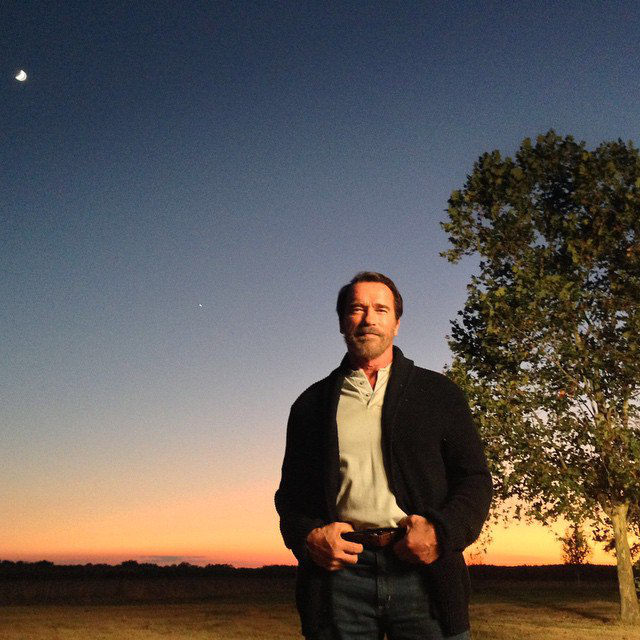 Шварценеггер отказался от съемок в &quot;Хищнике&quot; из-за &quot;Терминатора&quot;