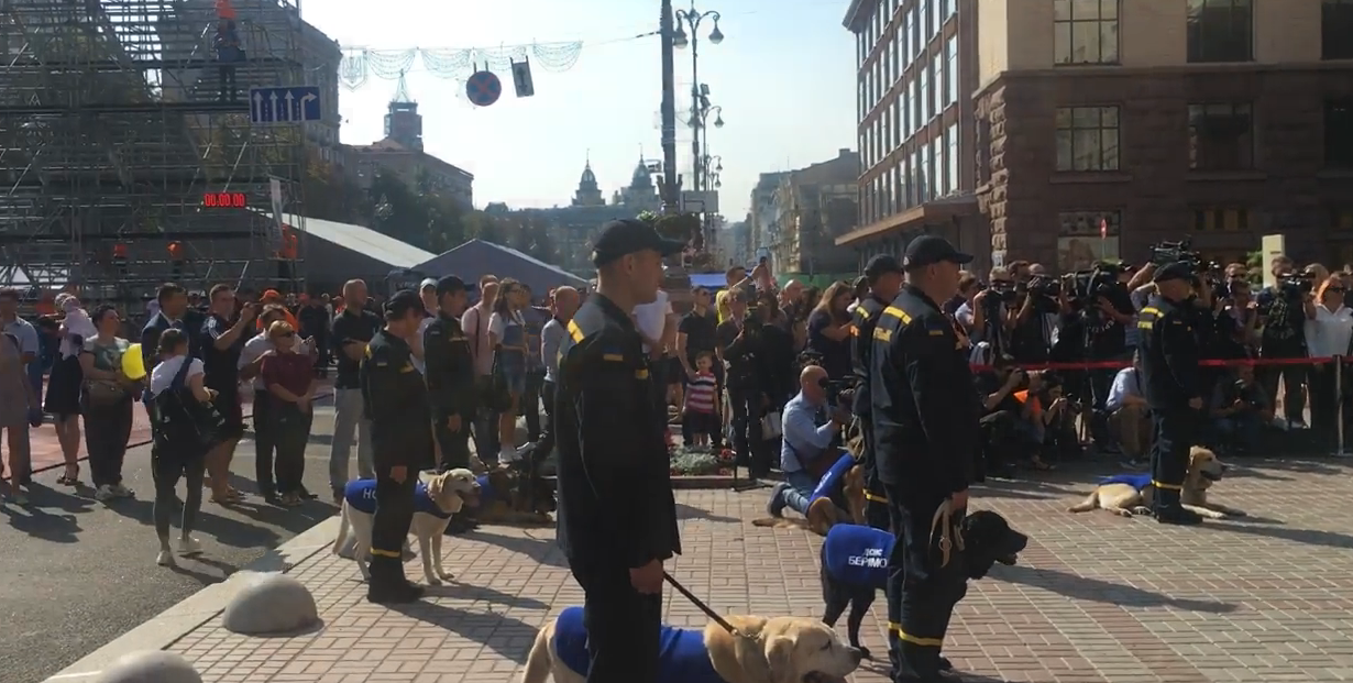 Потиснув лапу і відправив на спокій: нардеп привітав собак-рятувальників зі святом (відео)
