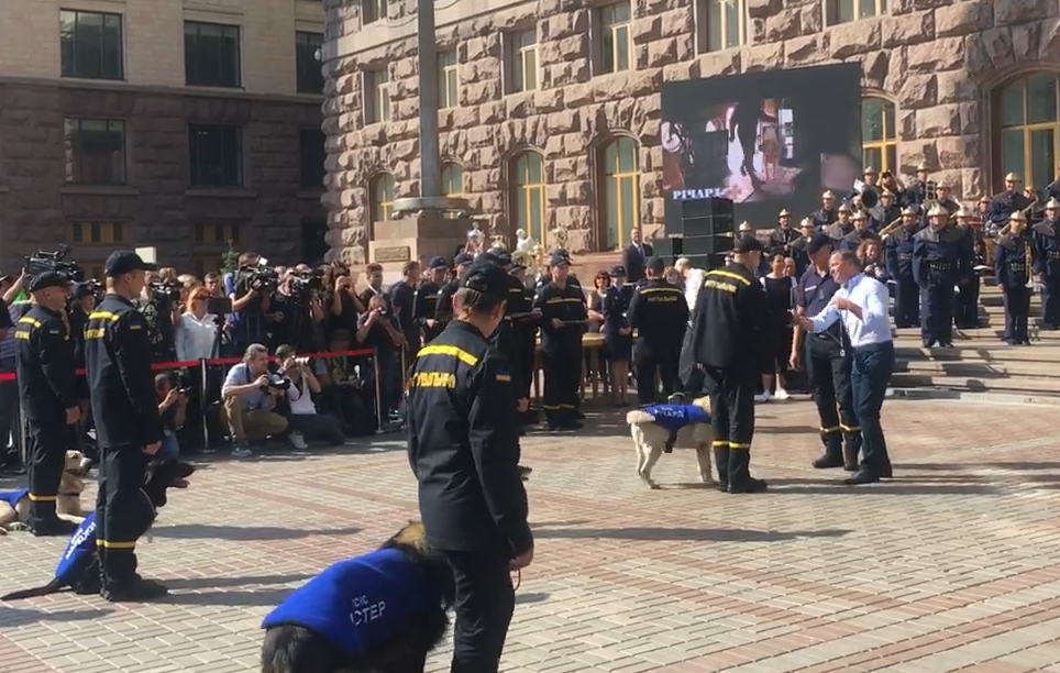 Потиснув лапу і відправив на спокій: нардеп привітав собак-рятувальників зі святом (відео)