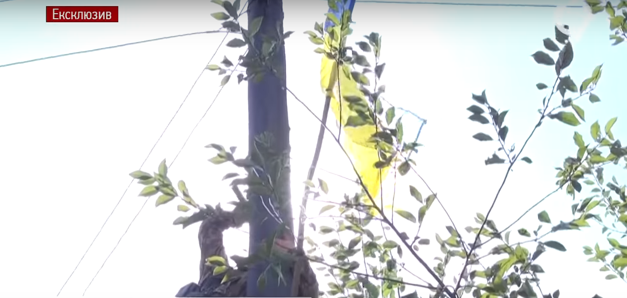 &quot;Це перемога&quot;: бійці ЗСУ на Донбасі підняли прапор над звільненим селищем (відео)