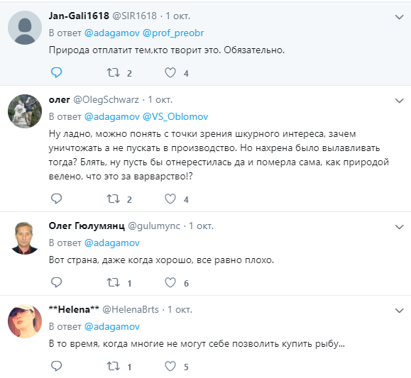 В сети показали, как россияне варварски уничтожают дорогую красную рыбу