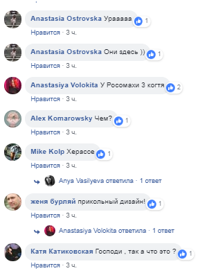 Росомаха в Киеве: неизвестные "зверски" изуродовали иномарку (фото)