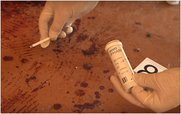 Трагедия в Керчи: в сеть попало видео с кадрами внутри Политеха после взрыва