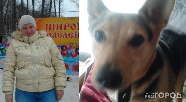 Колектори вбили собаку