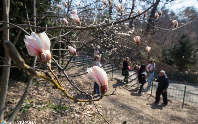 Синоптик удивил украинцев прогнозом погоды до Пасхи