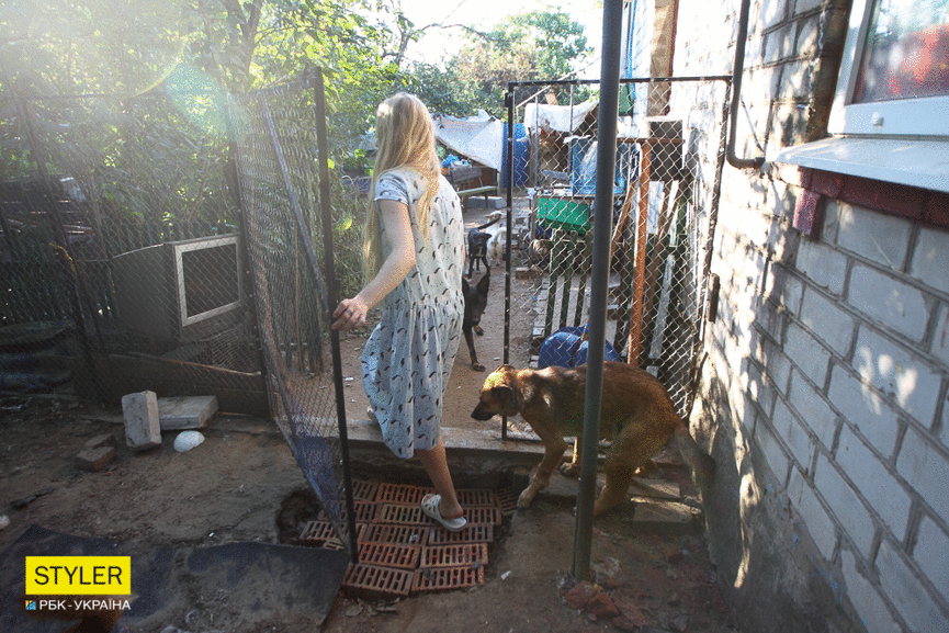 &quot;Били об стіну, нацьковували собак&quot;: як волонтер із Запоріжжя виходжує диких тварин і чому любить їх більше людей