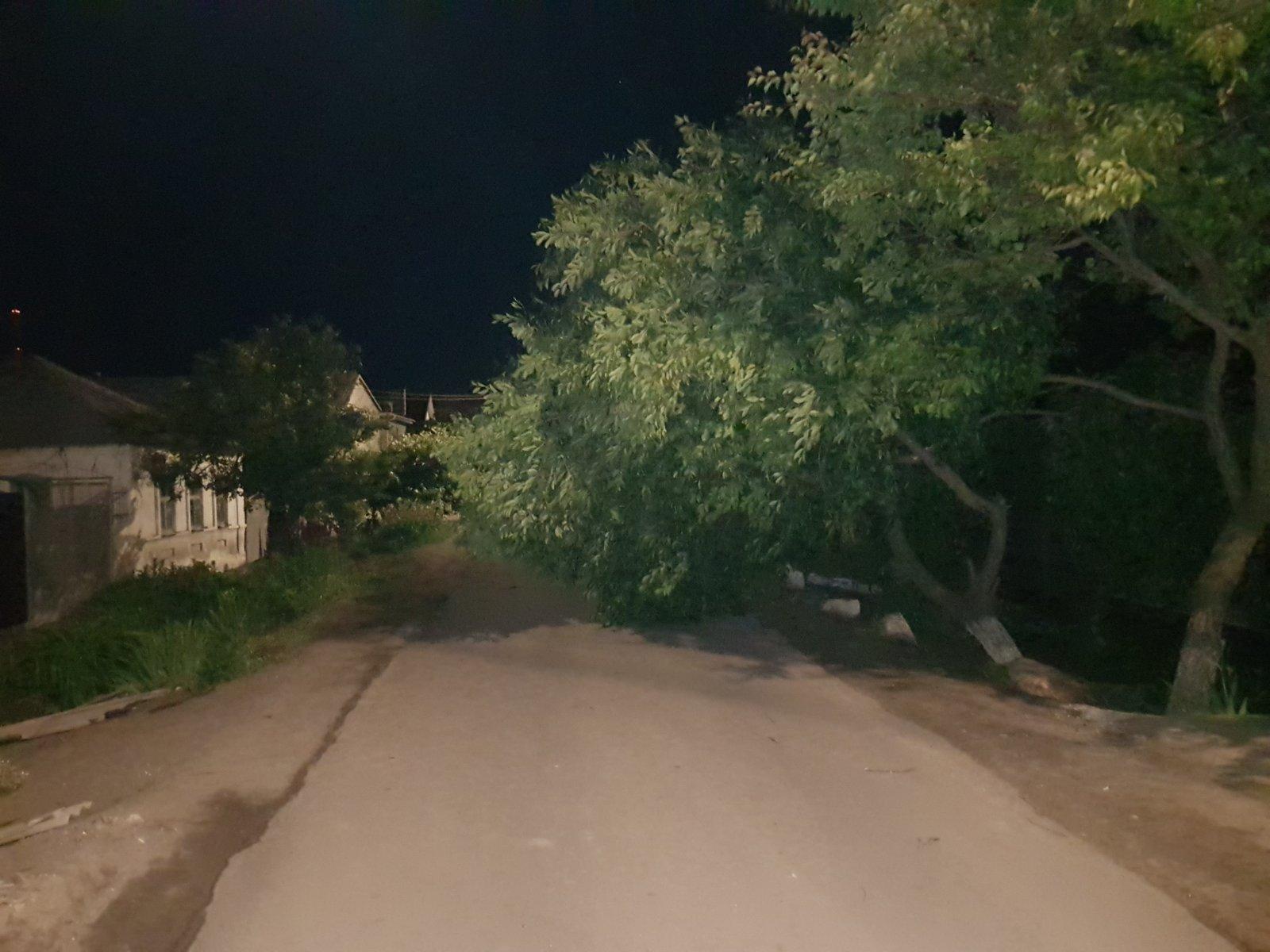 Зносило дахи, падали дерева: наслідки потужного урагану потрапили на камеру